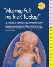 baby at five months 