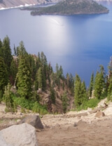 environment