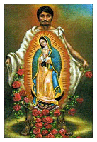guadalupe-web