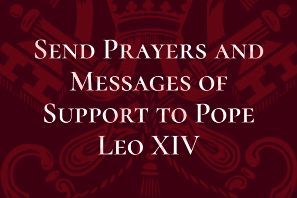 send prayers and messages of support to pope leo xiv
